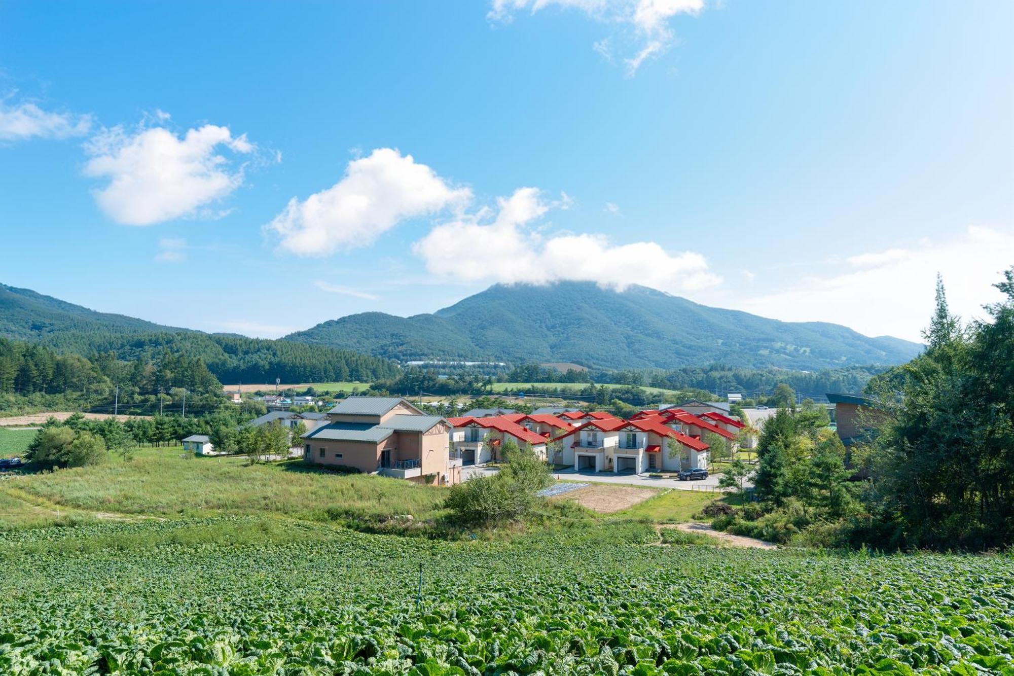 Le Comte Bleu Otel Pyeongchang Dış mekan fotoğraf